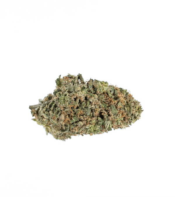 Bubblegum Kush Marijuana Strain Gold Coast