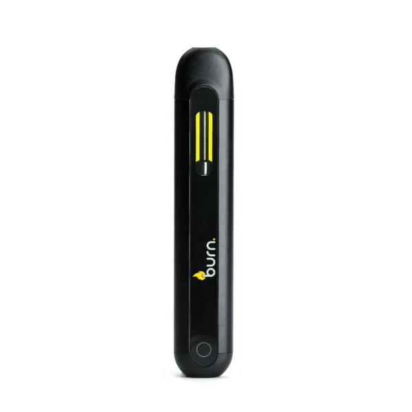 Burn Lifestyle Disposable Vape Pen - 2g