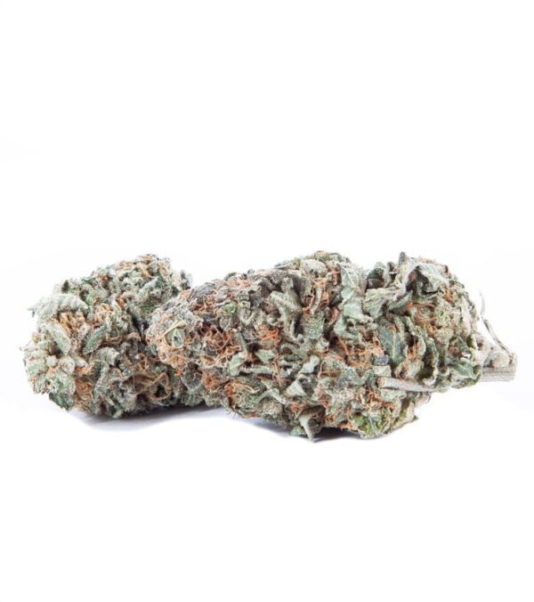 Gelato Hybrid Marijuana Strain Sydney