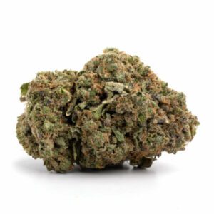Green Crack Marijuana Strain Darwin