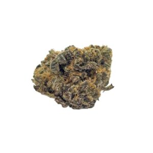Jet Fuel Weed Strain Darwin