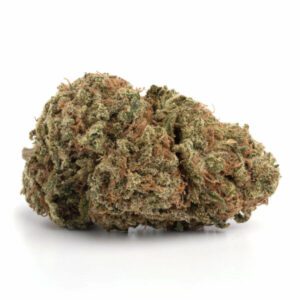Lambs Bread Marijuana Strain Adelaide