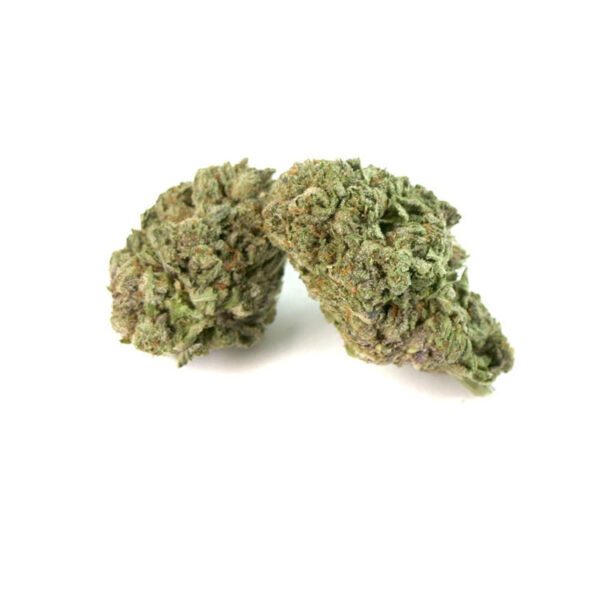 Master Kush Marijuana Strain Geelong