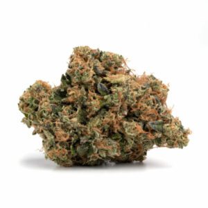 Moby Dick Weed Strain Brisbane
