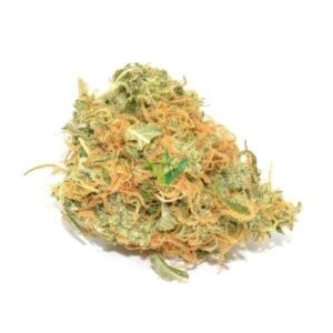 Organic Jack Herer Weed Strain Sunshine Coast