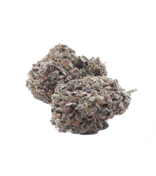 Purple Haze Hybrid Cannabis Strain Sydney