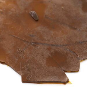 Purple Kush Cannabis Shatter Concentrate
