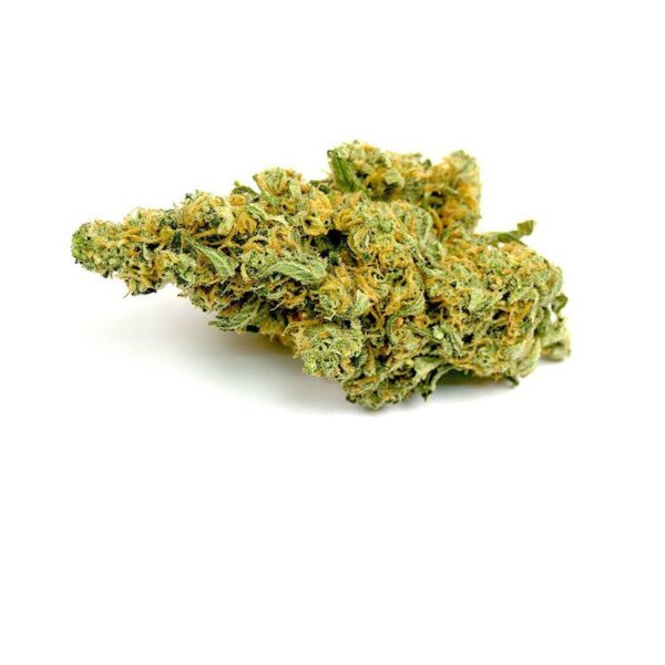 Rare Congolese Marijuana Strain Albury