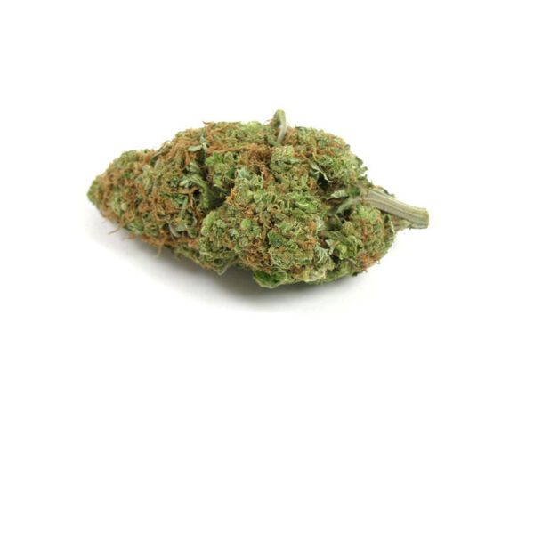 Super Silver Haze Marijuana Strain Ballarat