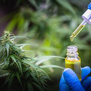 THC & CBD Marijuana Oil Australia