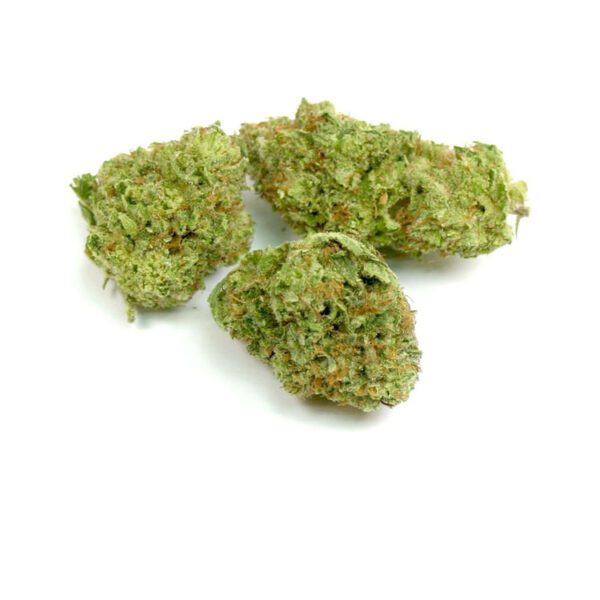 Violator Kush Cannabis Strain Armidale