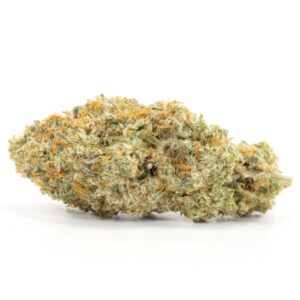 Vortex Sativa Weed Strain Sydney